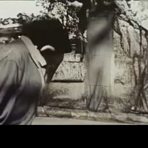 modelscope clip · 2026-07-13