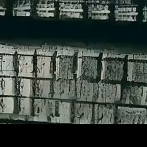 modelscope clip · 2026-07-14