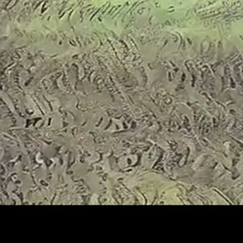 modelscope clip · 2026-07-24