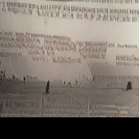 modelscope clip · 2026-07-27