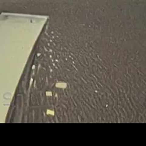 modelscope clip · 2026-08-04