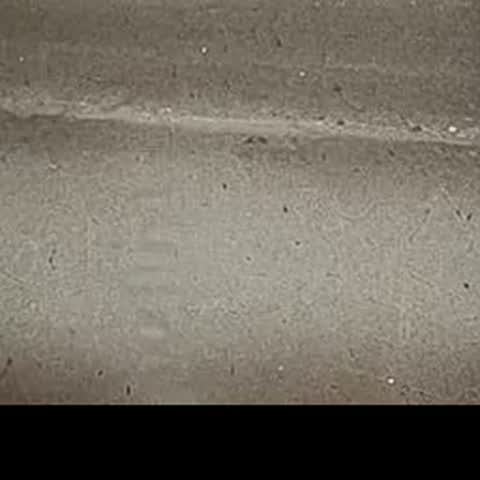 modelscope clip · 2026-09-02