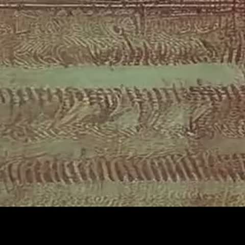 modelscope clip · 2026-09-07