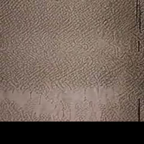 modelscope clip · 2026-09-13