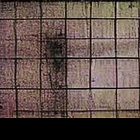 modelscope clip · 2026-09-21