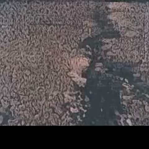 modelscope clip · 2026-10-12